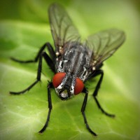 /album/suportec/photolia-a01-jpg/