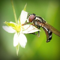 /album/suportec/photolia-a02-jpg/