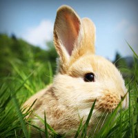 /album/suportec/photolia-a03-jpg/