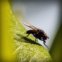 /album/suportec/photolia-a04-jpg/