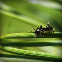 /album/suportec/photolia-a05-jpg/