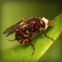 /album/suportec/photolia-a06-jpg/