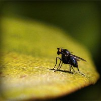 /album/suportec/photolia-a07-jpg/