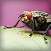 /album/suportec/photolia-a08-jpg/